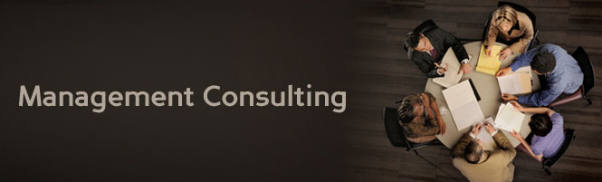 Management Consulting